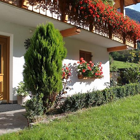Haus Kofler Διαμέρισμα Casateia Εξωτερικό φωτογραφία